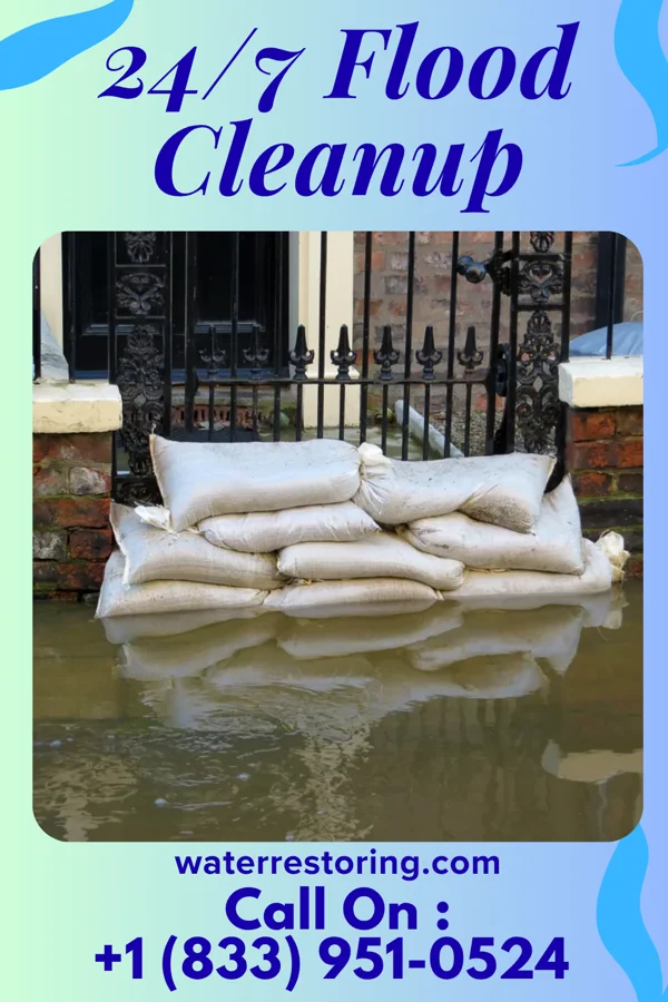 24/7 Flood Cleanup in Grant, MN