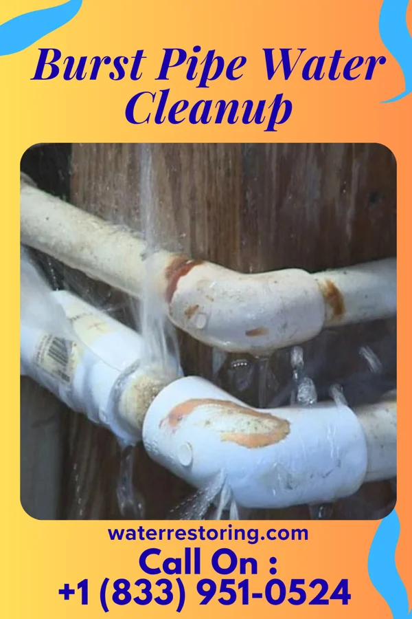 Burst Pipe Water Cleanup in Grant, MN