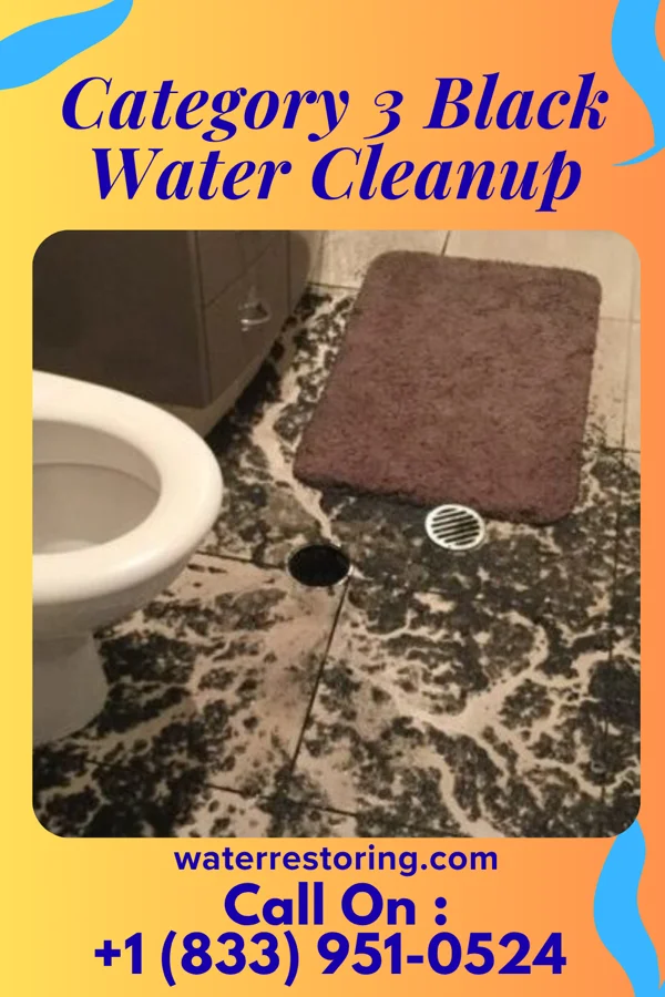 Category 3 Black Water Cleanup in Grant, MN
