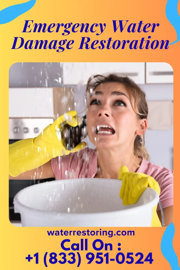 Emergency Water Damage Restoration in Grant, MN