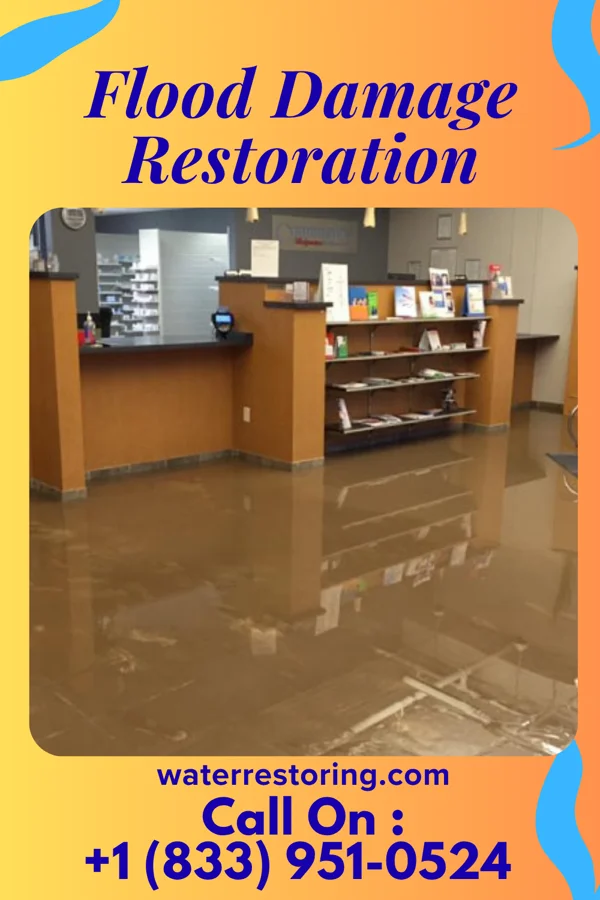 Flood Damage Restoration in Grant, MN