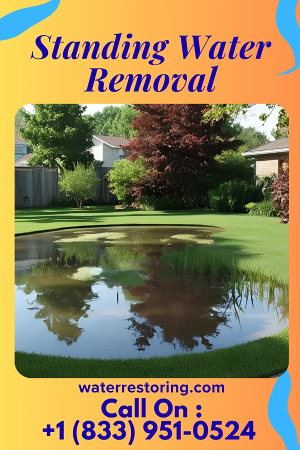Standing Water Removal in Grant, MN